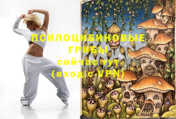 метамфетамин Аркадак