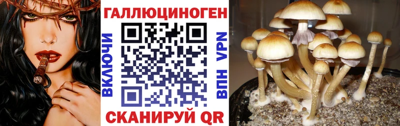 OMG вход цены Кумертау Галлюциногенные грибы ЛСД